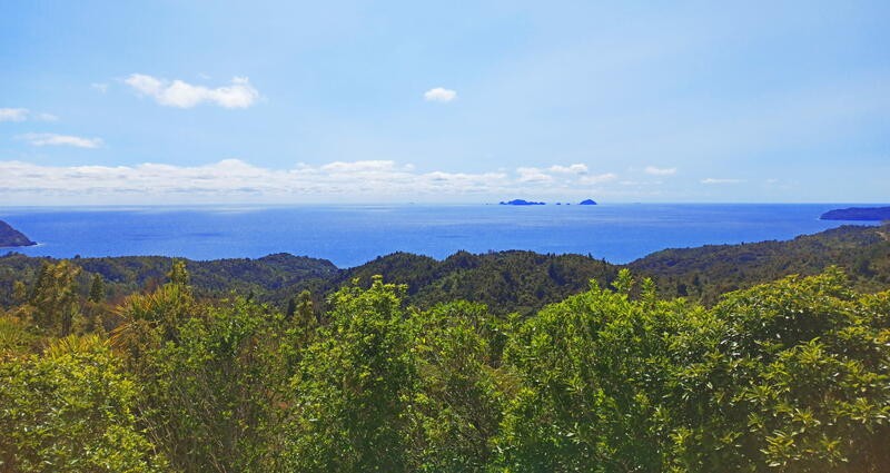 Coromandel landscape