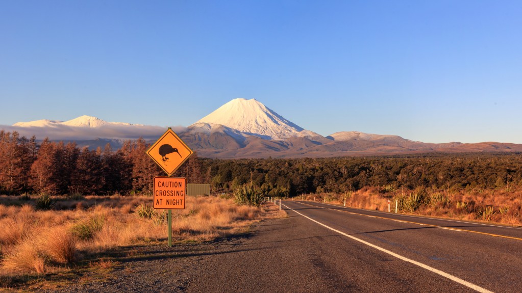 Road with kiwi sign