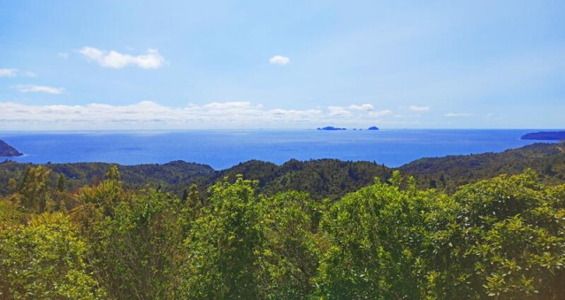 Coromandel landscape