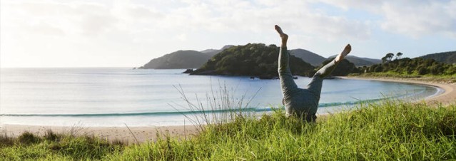 Legs up at Picton scenery