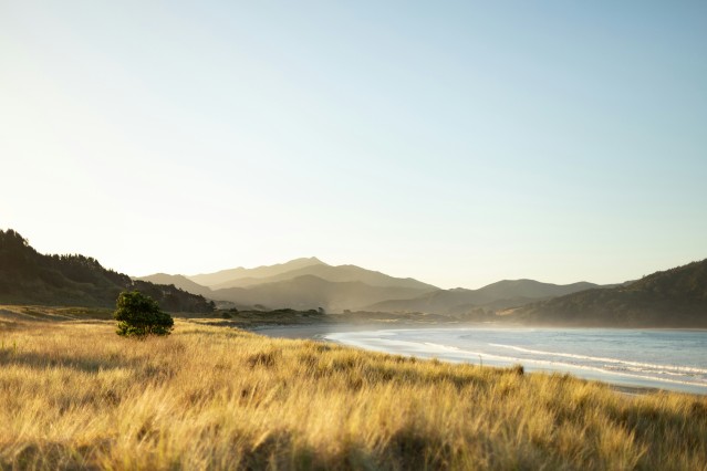 Coromandel Beach New Zealand