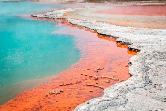 Rotorua New Zealand